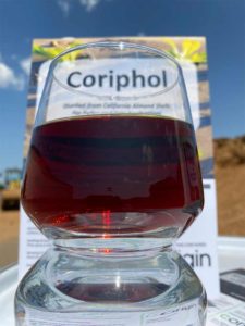 Corigin Launch Party