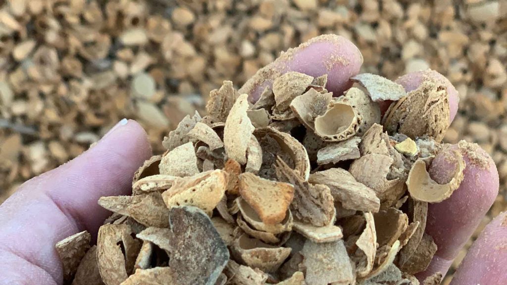 Almond Shells Bio Waste